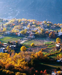 ������ϼҸ��Σ���ñ�����