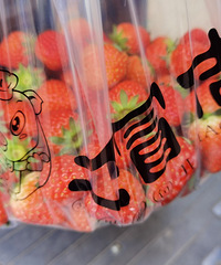 һ����һ��������ĺ�ů