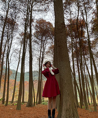 �ٺ�С֥�����֣�������ɼ�ָ���������������