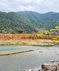 �ٺ�С֥�����֣�������ɼ�ָ���������������