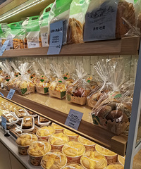 ��ϲ���������������ͦ���