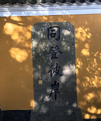 ��2020���δ�������������