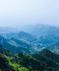 ���£��й�5A����������301�ң�