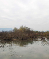 ����Ϫ�������͹�̹ˮ��ĺ�����