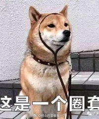 ��������ѧԱ��ʲô�����ĵģ���һ��УŮѧԱƭ�߽���80��