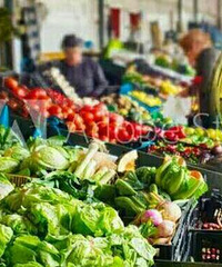 ���۸��᡿��������Ź��𱬣�����û޶�Ⲩ��ë��