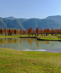 �ψ������֣����Ǵ������