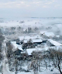 2020δʡȥ˺ܶطҲȥ˸ͺ