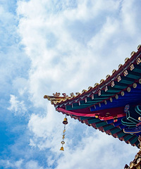 2020����죬���˾�ȥ��Щ�ط�ɢɢ�ģ�