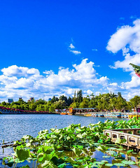 2020����죬���˾�ȥ��Щ�ط�ɢɢ�ģ�