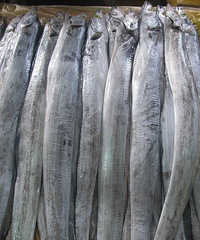 ��µ��������Ϥ��İ���Ķ����㣬�����ϳ����֣�