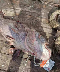 96�Ұ���ģ��㽭һ���ϴ󲶻����ʯ���㣡������ˡ�