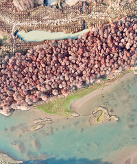 �������ռ�No.49��С֥������PK��̶ˮ�������