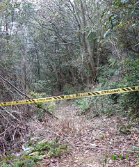 ���ſڵľŷ�ɽ���ŷ���ʥ����&����ɽĦ��ʯ��