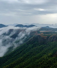 ��������ɽ��ɫɹͼ���������������ľ�ɫ