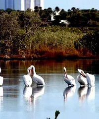 ���ˣ����Ҽ����ζȼ���������15��