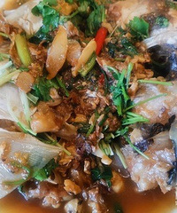 ��������ʳ�������Լ�������ʳ