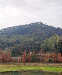 �����ڳ�̶ˮ��ۺ�����