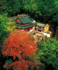 Ԫ������̨����ڡ��������Щ����ĵط�