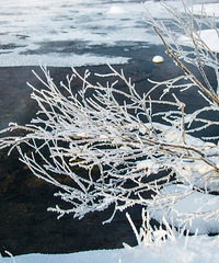 ���ױ��������ɫ����羰��һ�����������л�Ҫ��