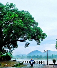 ������ɹ��������Ϲŷ�С�������ֵ͵�