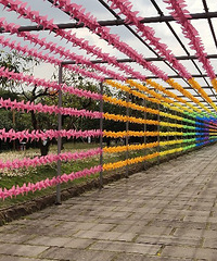 ��ũҵ�۹�԰��ǰ�������ı��ݣ����ڿյ�����