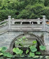 ������������û��ȥ�������صĽ���.......