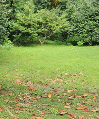 ������������û��ȥ�������صĽ���.......