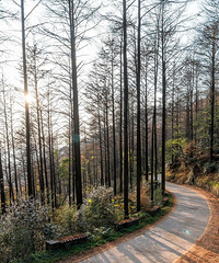 ��һ���ˣ�����ȥ�й���15���ط�