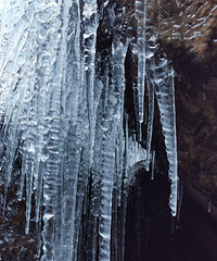 2021Ԫ��Ϊӭ���µ�һ�꣬���ɾӶ�᮱���