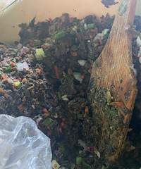 ��������ʳ��������̷��ɫ���ͷ-·��̯��ʵ��