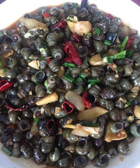 ��������ʳ������2020����������Ե�