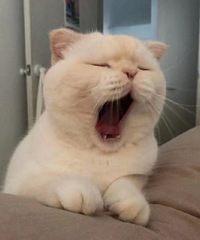 93�����������Ϻ�����������Ա����90��Ů��