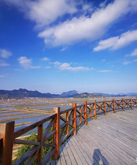 ������ͣ��ʱ��