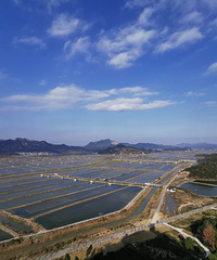 ������ͣ��ʱ��