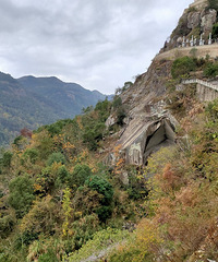 2020ܽ᡿²ǧպѹǮ