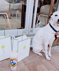 ��̢Ƥ�����浰Һ���ۻ���û��������