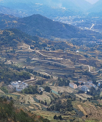 2020ܽ᡿Ŀֵһ꣬ʶԽԽ