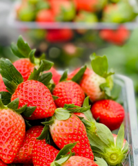 �������Լ�.̨��֮�ǡ�̨��֮�Ǳ���NGCC�Լ�֮�ÿ�����ļ