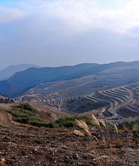 ���۸��᡿��������ϲ����ʲô������