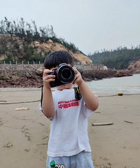 2020ܽ᡿ʵߵı̬꣬ը