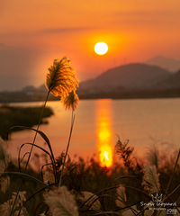 һ��֮�������ķ������������де�«έ���ҡҷ