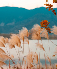 һ��֮�������ķ������������де�«έ���ҡҷ