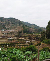 ��ͩ�Ӵ�Խ���Ϫ��ţͷɽˮ���ëɽ��