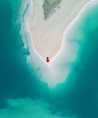 ��С�컨��ȡ�����ع⣡����˽���ؾ����Ȳ迨�κ�����