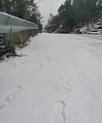 ��ѩ����ѩ�ˣ�·̫�������Է�ɽ��