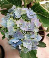 2020ܽ᡿кøеŮϧְû