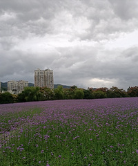 2020ܽ᡿кøеŮϧְû