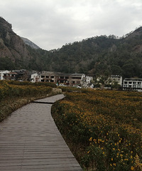 Ԫ���㵴ɽ��徰����һ��һ��һ·�羰