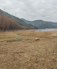 2020ܽ᡿׬Ǯʷ¸ߣ׬װǮ